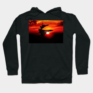 The Glare Of The Sun Hoodie